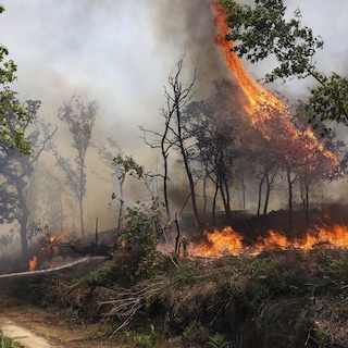 Live - Negen gewonden bij bosbranden in Portugal • Bosbrand in de Aude gestabiliseerd, nog 150 brandweermannen aan het werk