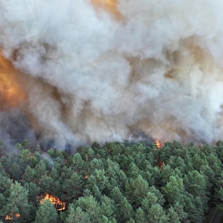 Bestrijding bosbrand in regio Parijs kan nog dagen duren, brand mogelijk aangestoken