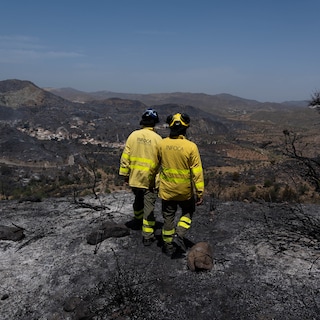 Live - Twaalf van dertien slachtoffers bosbrand Spanje zijn buitenlanders • Dorpen geëvacueerd vanwege bosbrand in Duits nationaal park