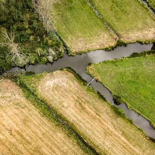 Hoe natte natuur Vlaanderen wapent tegen droogte en overstromingen: Het hele gebied doet dienst als een gigantische spons