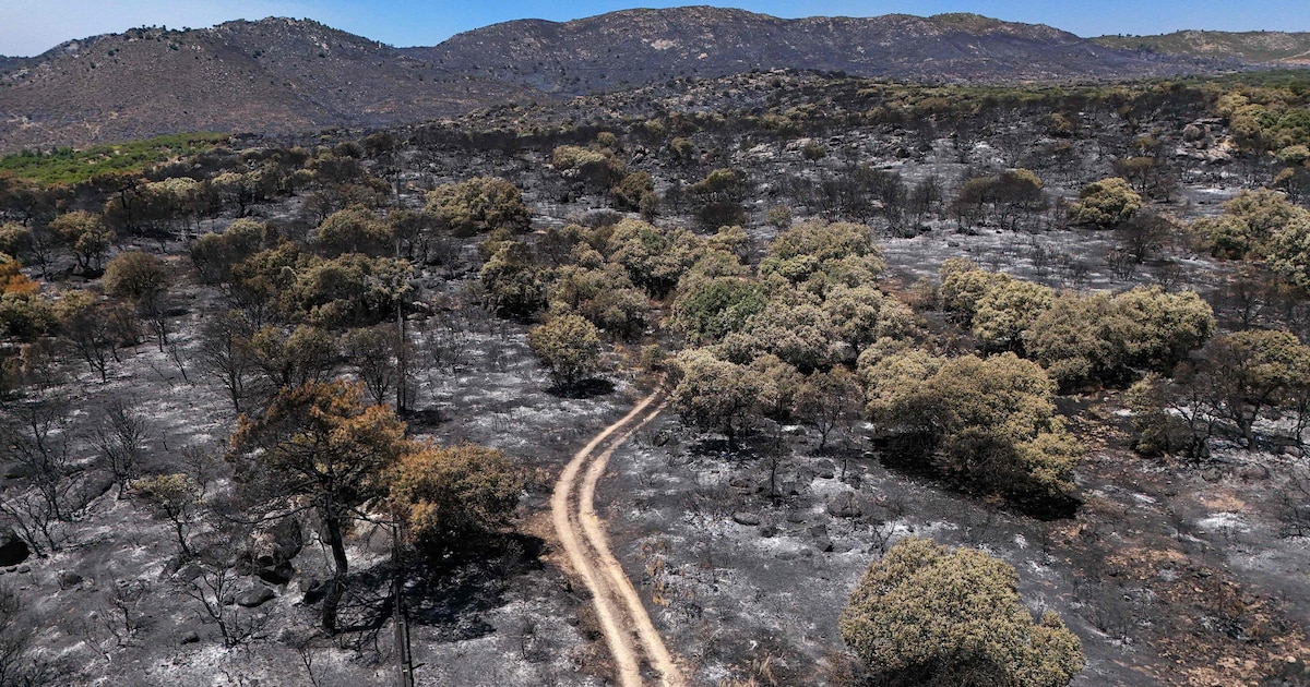 Verslaggever ontvluchtte zelf de natuurbranden bij Madrid: ‘We hebben uiteindelijk vier uur in de fi