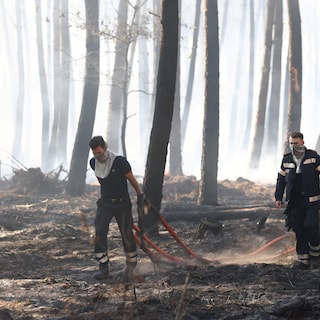 Wildfires Force Evacuations in France and Greece