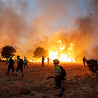 Live - Record uit 2022 verpulverd: uitzonderlijke hitte en droogte in juli werkten natuurbranden West-Europa in de hand • Ook zeewater was wereldwijd in juli nooit eerder zo warm