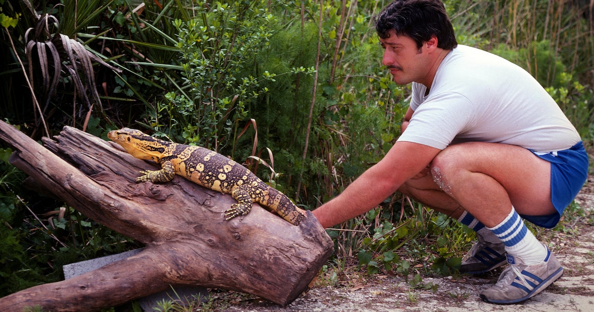 In ‘Monsters of God’ zijn niet de dieren maar de goddeloze smokkelaars de monsters