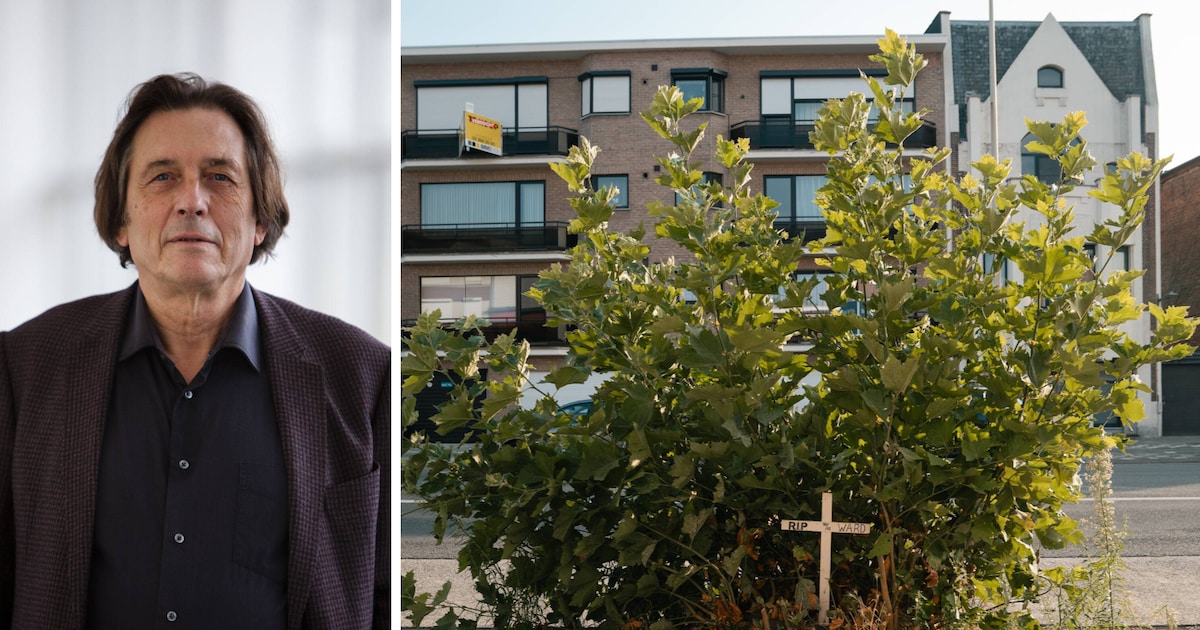 ‘In de stad breekt niemand nog huizen af voor nieuwe wegen, tramsporen of fietspaden. Bomen verdiene