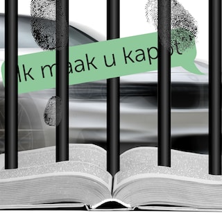 Van doodsbedreigingen tot verkeersdoodslag: dit verandert er in het nieuwe Strafwetboek
