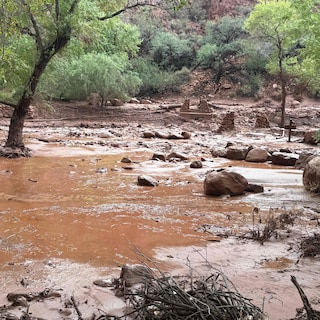 Zeker één dode door overstromingen Grand Canyon