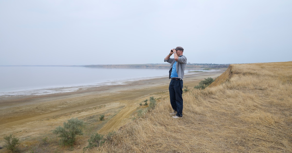 Zeepaardjes in zonnebloemolie: hoe de oorlog in Oekraïne ook natuur en dieren vernietigt