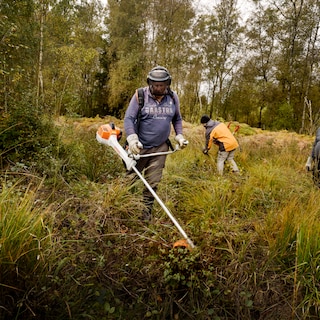 Na de verwoestende brand helpen vrijwilligers de Hoge Venen herstellen: ‘De brand is voor ons als 9/11. We zijn in rouw’