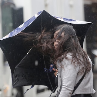 Live - Storm Austen belooft kletsnatte dag en rukwinden tot 110 km per uur • Steden en gemeenten sluiten parken en annuleren evenementen