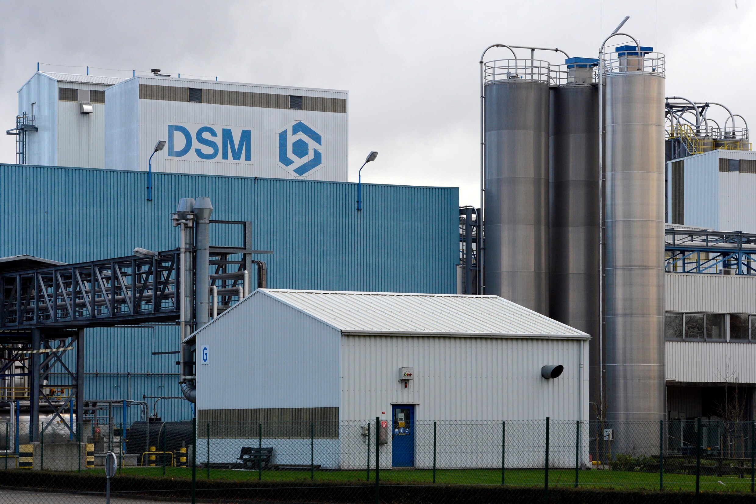 DSM ziet winst en omzet verder groeien | De Morgen