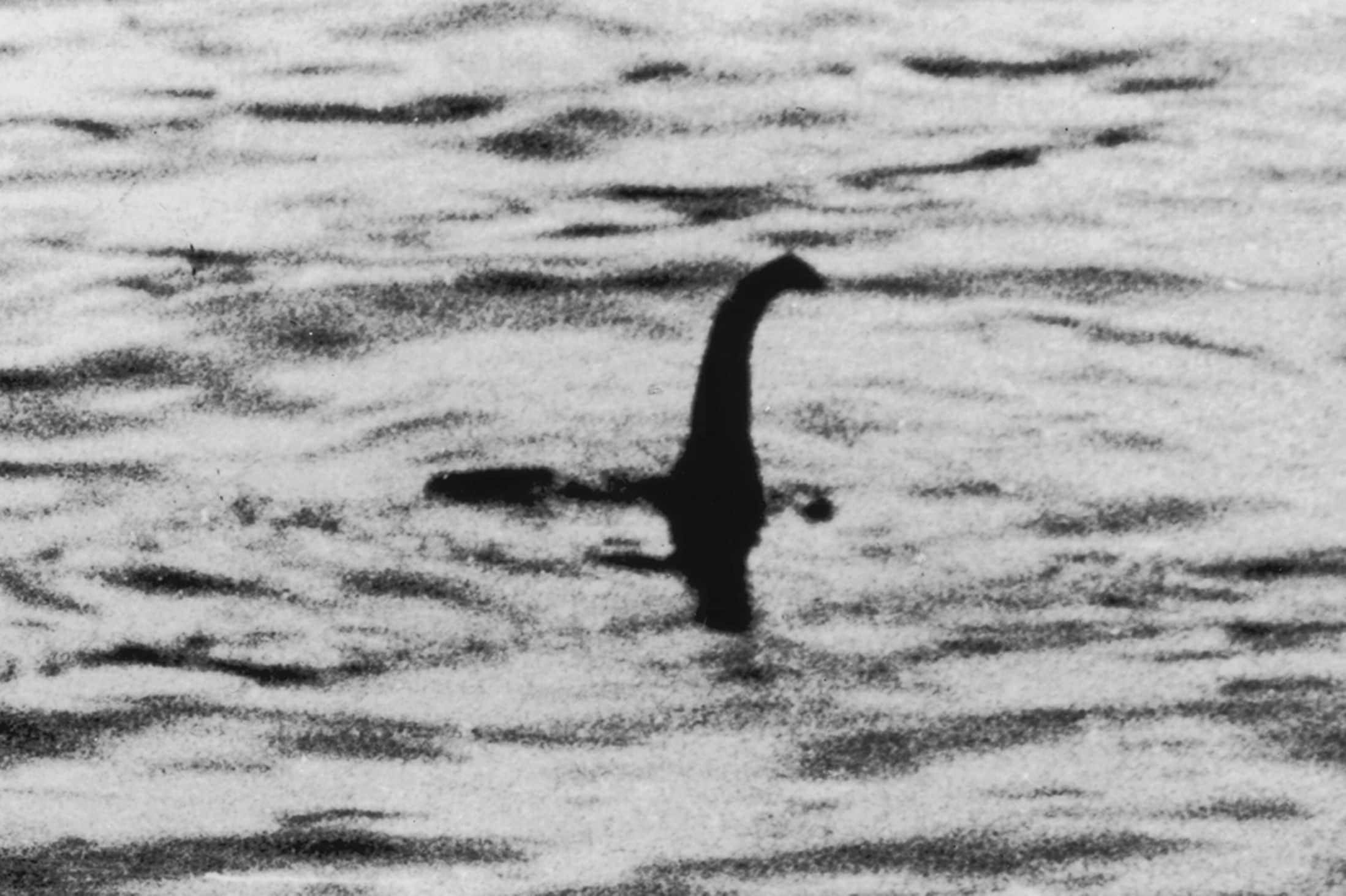 Wetenschappers onderwerpen Loch Ness aan DNA-test
