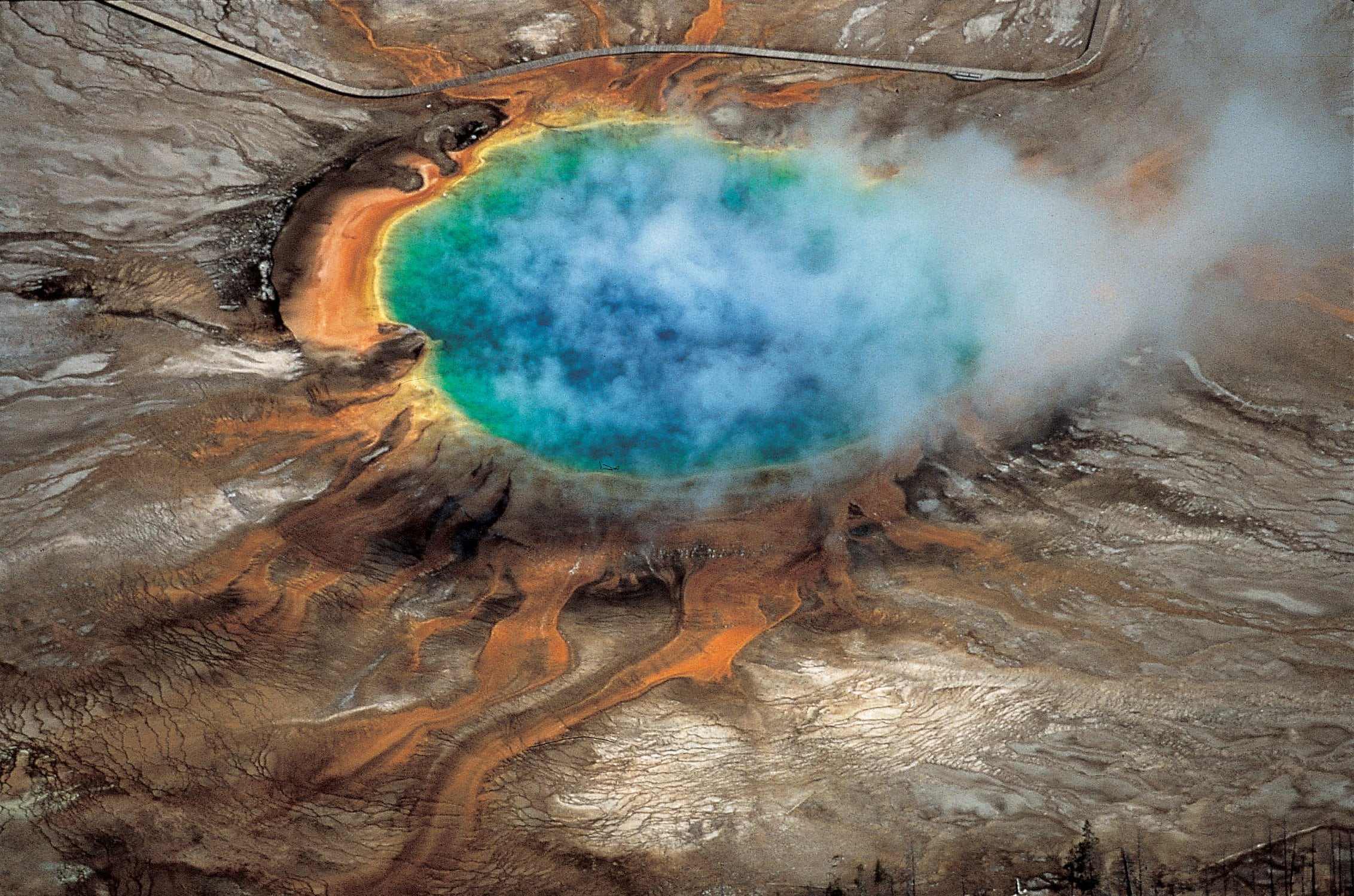 Read National Geographic Plus - DE magazine on Readly - the ultimate magazine su
