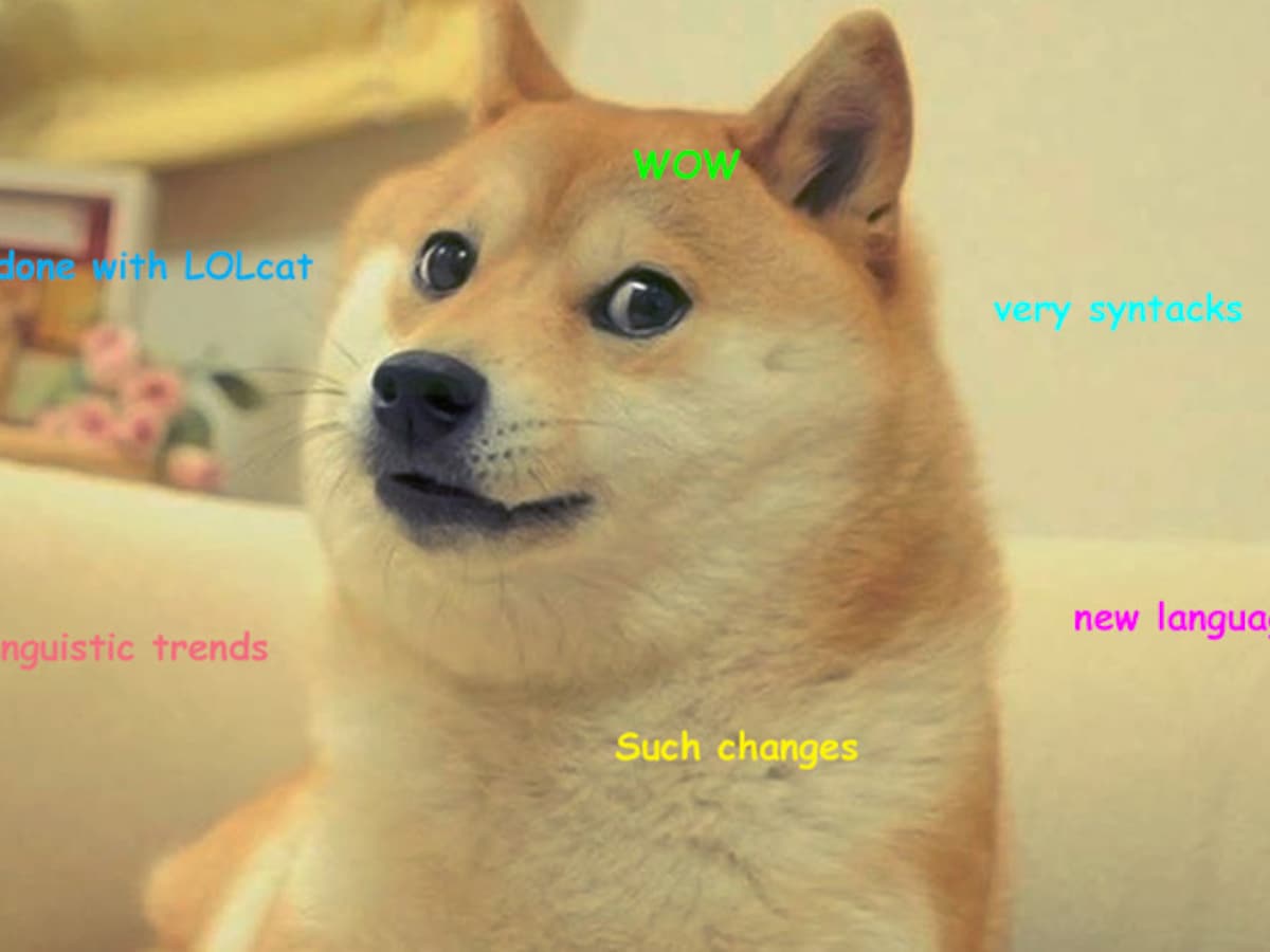 Wereldberoemde hond Kabosu, bekend van memes en cryptomunt dogecoin,  overleden | De Morgen