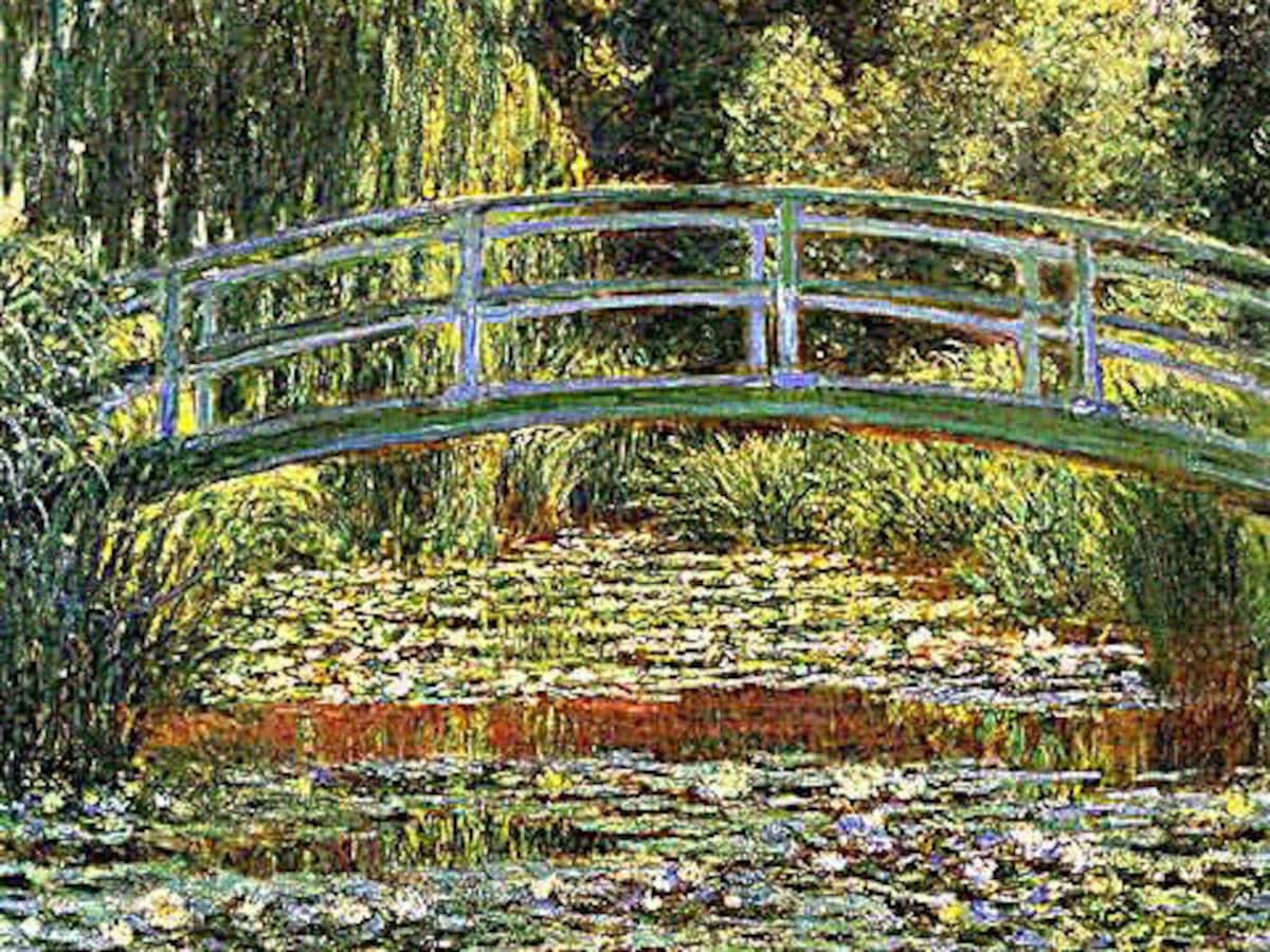 le-bassin-aux-nympheas-van-