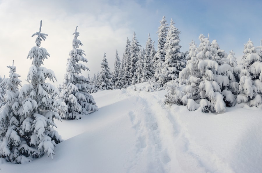 sneeuw-op-komst-vanaf-donderdag-winter-in-alpen