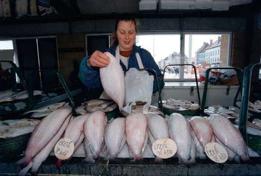 Consument wil geen Belgische vis meer | De Morgen