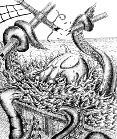 Kolossale inktvis is geen gevaarlijk zeemonster | De Morgen