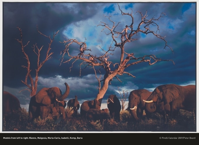 Pirelli Kalender 2009: wild en apocalyptisch | De Morgen