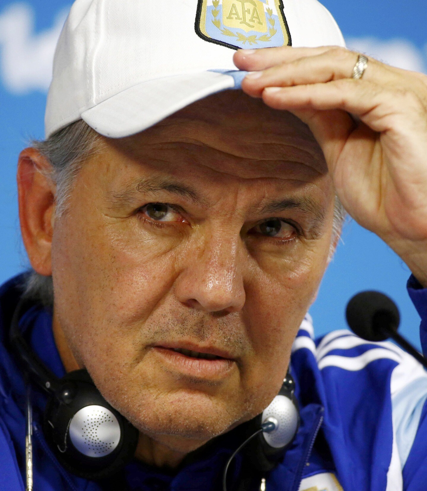 Sabella: 