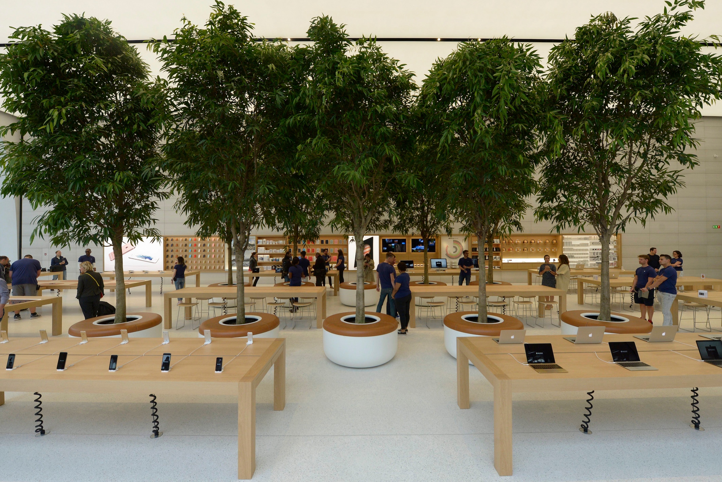 Er staan bomen in de Apple Store in Brussel, maar dat is het ook zo'n ...