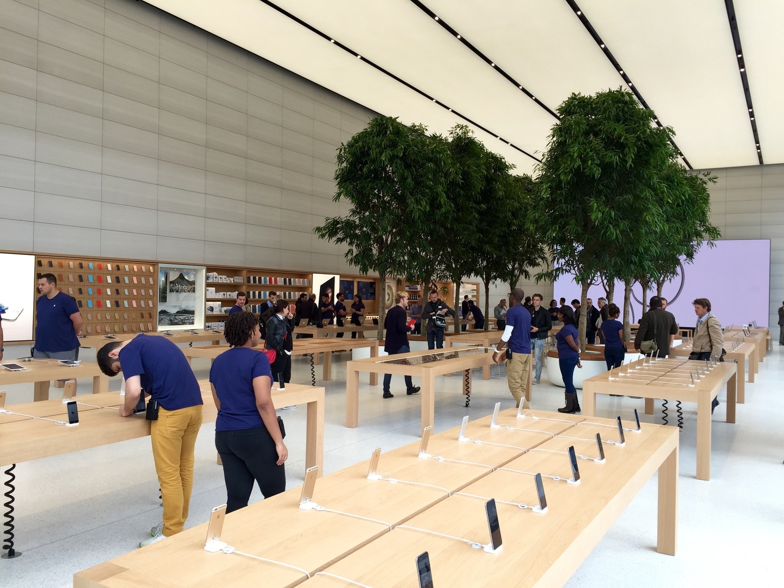Er staan bomen in de Apple Store in Brussel, maar dat is het ook zo'n ...
