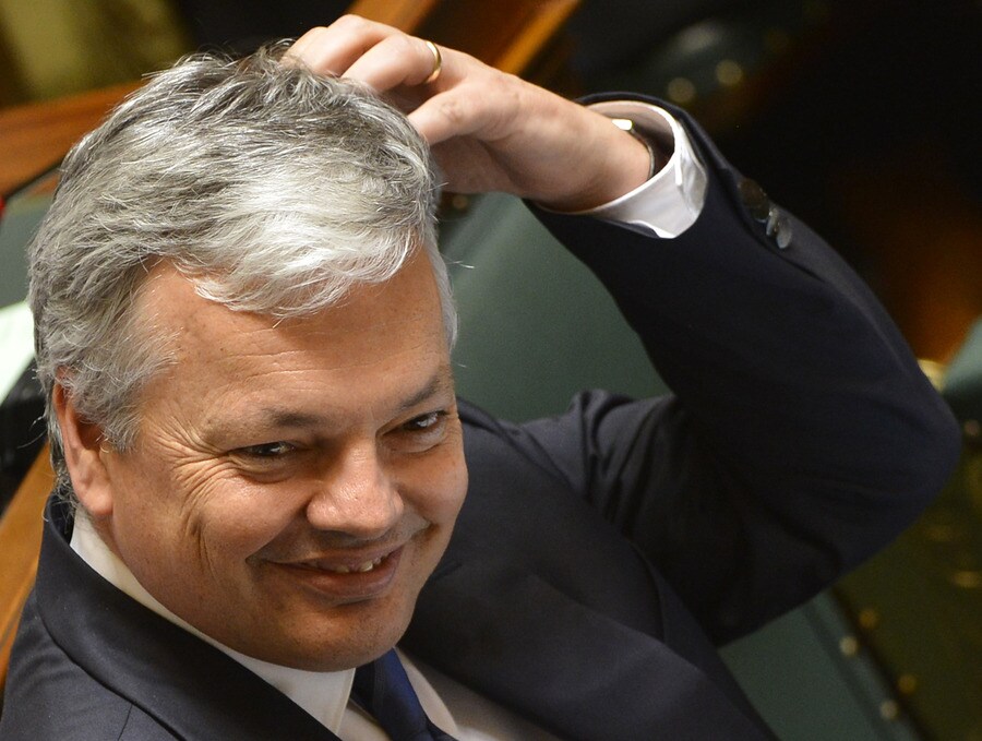 Reynders bezoekt Belgische bedrijven in Zuid-Afrika | De Morgen