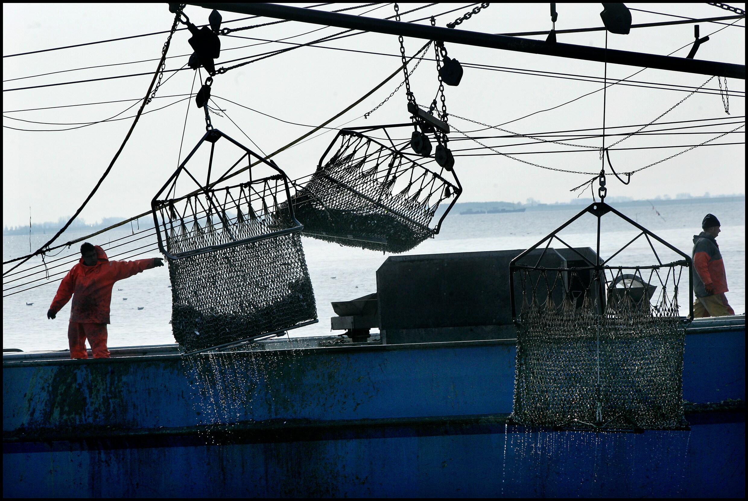 Met het verbod op de pulsvisserij zwicht Europa nu toch voor de 'onzin' van Franse vissers en milieuorganisaties