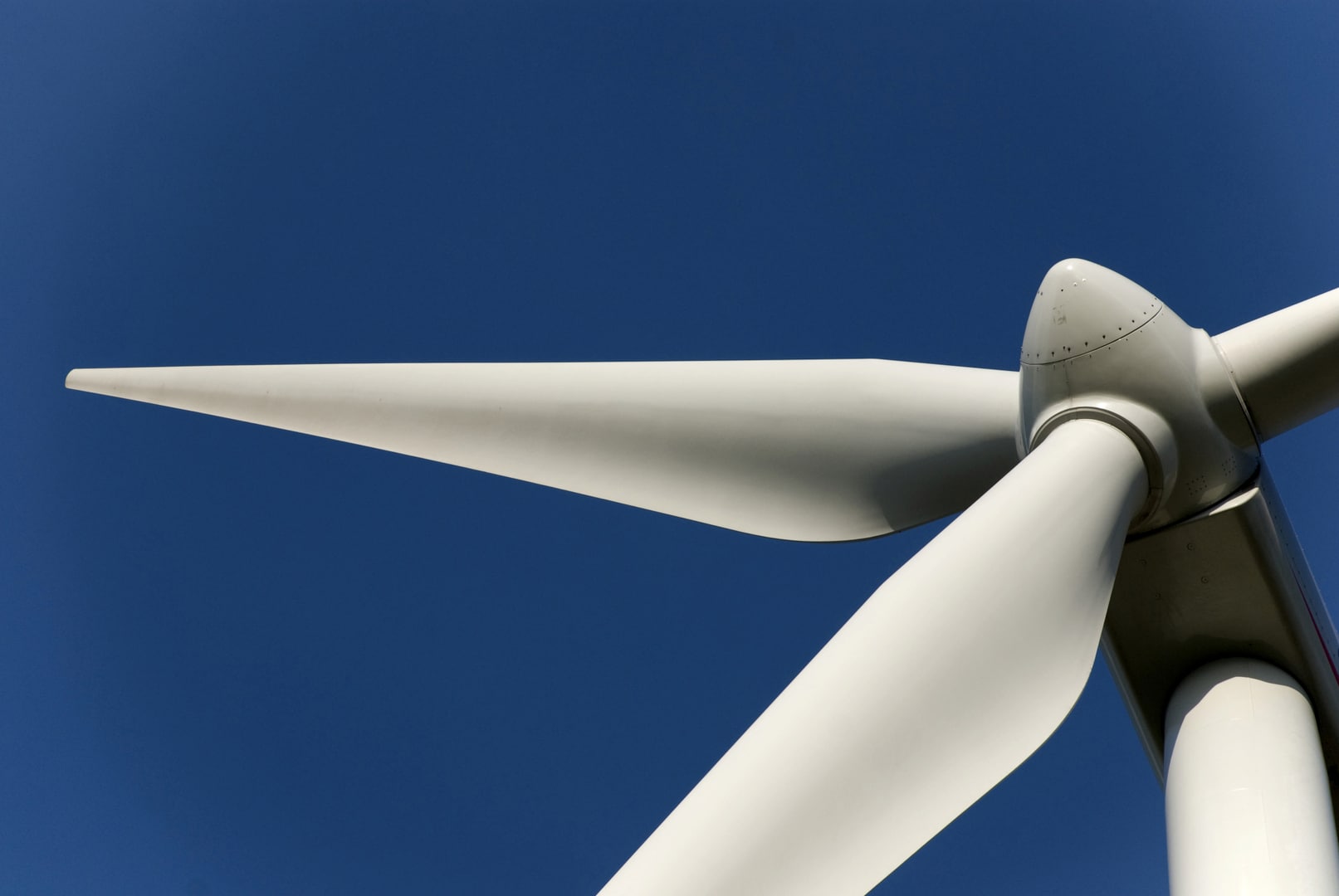 Prof nuanceert Bourgeois: "Voor biomassacentrale zijn er 200 windmolens nodig"