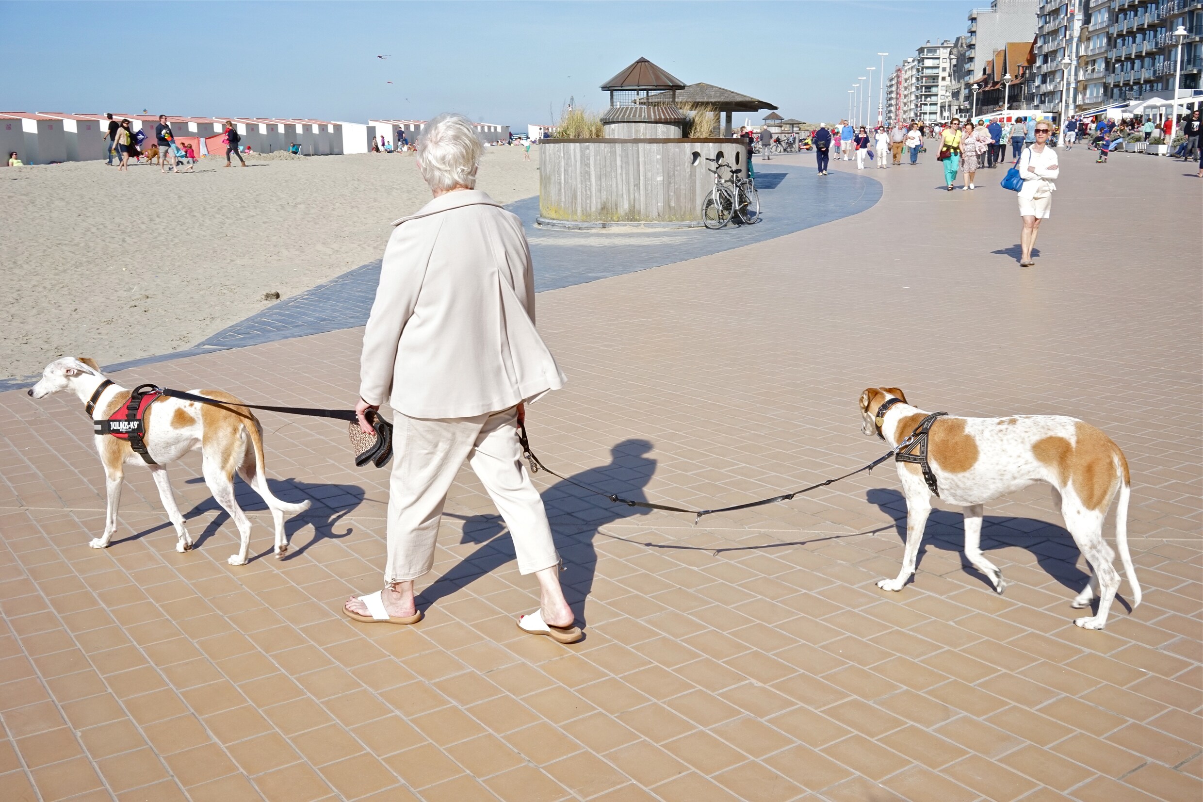 Zeedijk Knokke blijkt ‘gevaarlijkste’ van onze kust