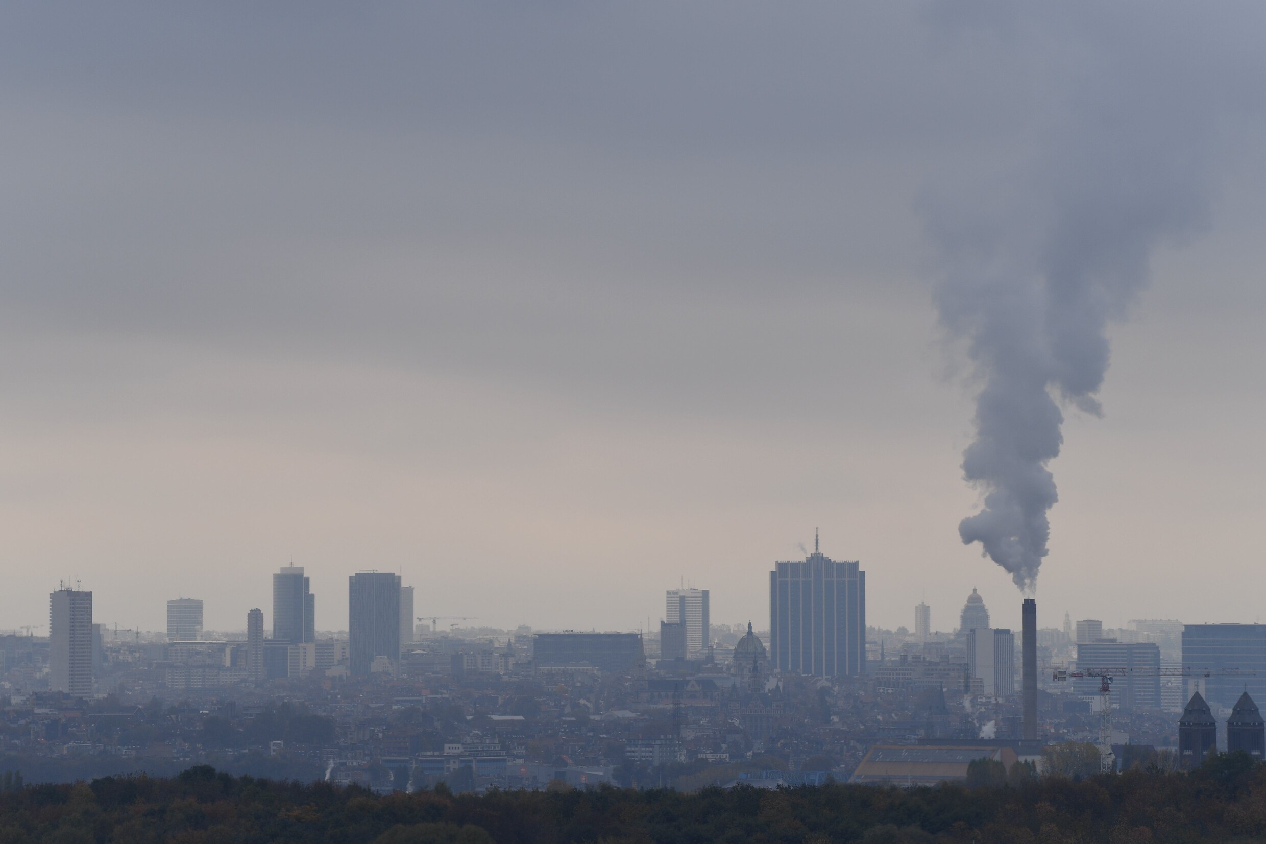 Vervuilde lucht beïnvloedt niet alleen gezondheid, maar ook gedrag