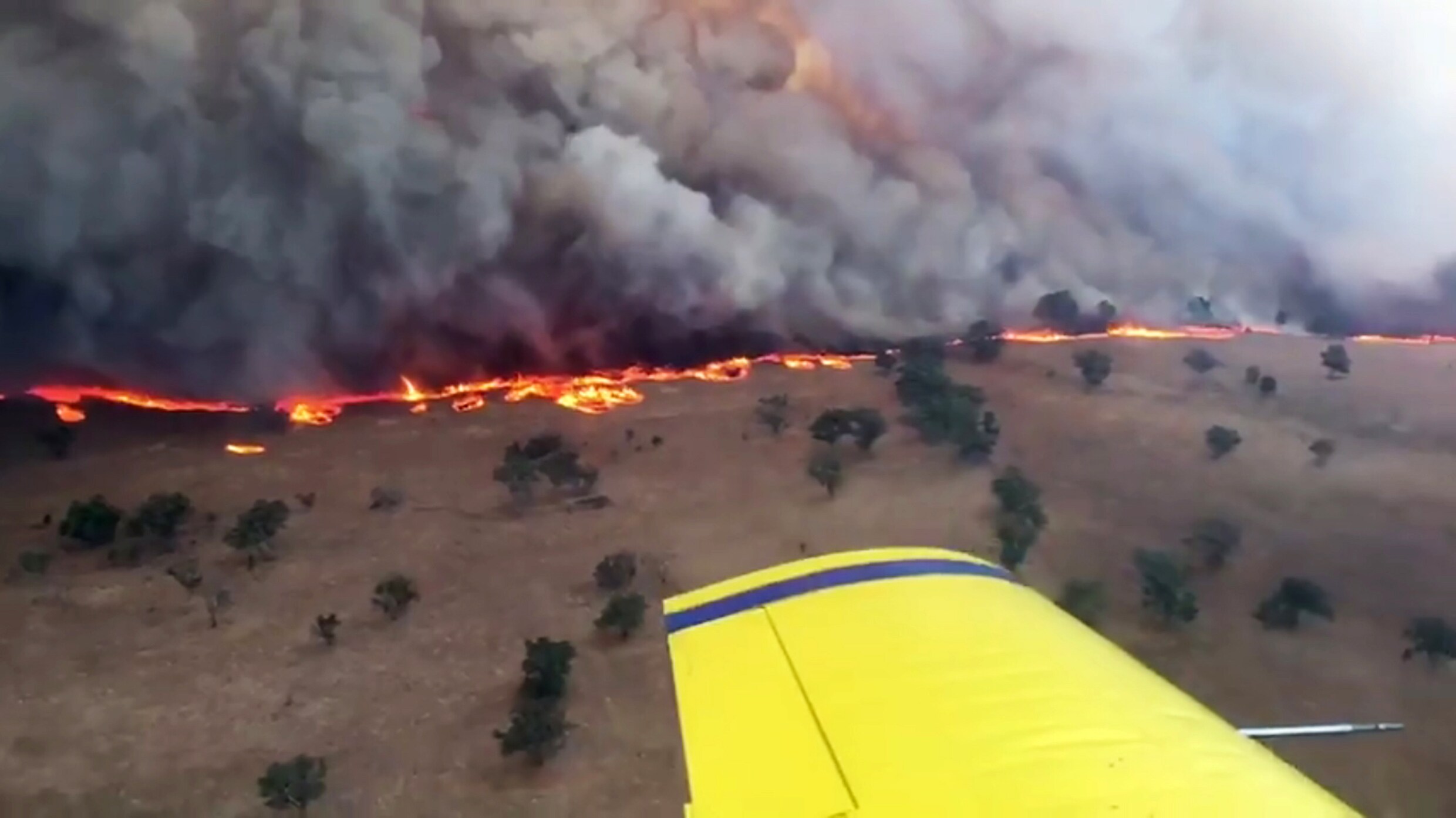 Australië geteisterd door tientallen brandhaarden: "Het enige wat ons nog rest hebben we aan"