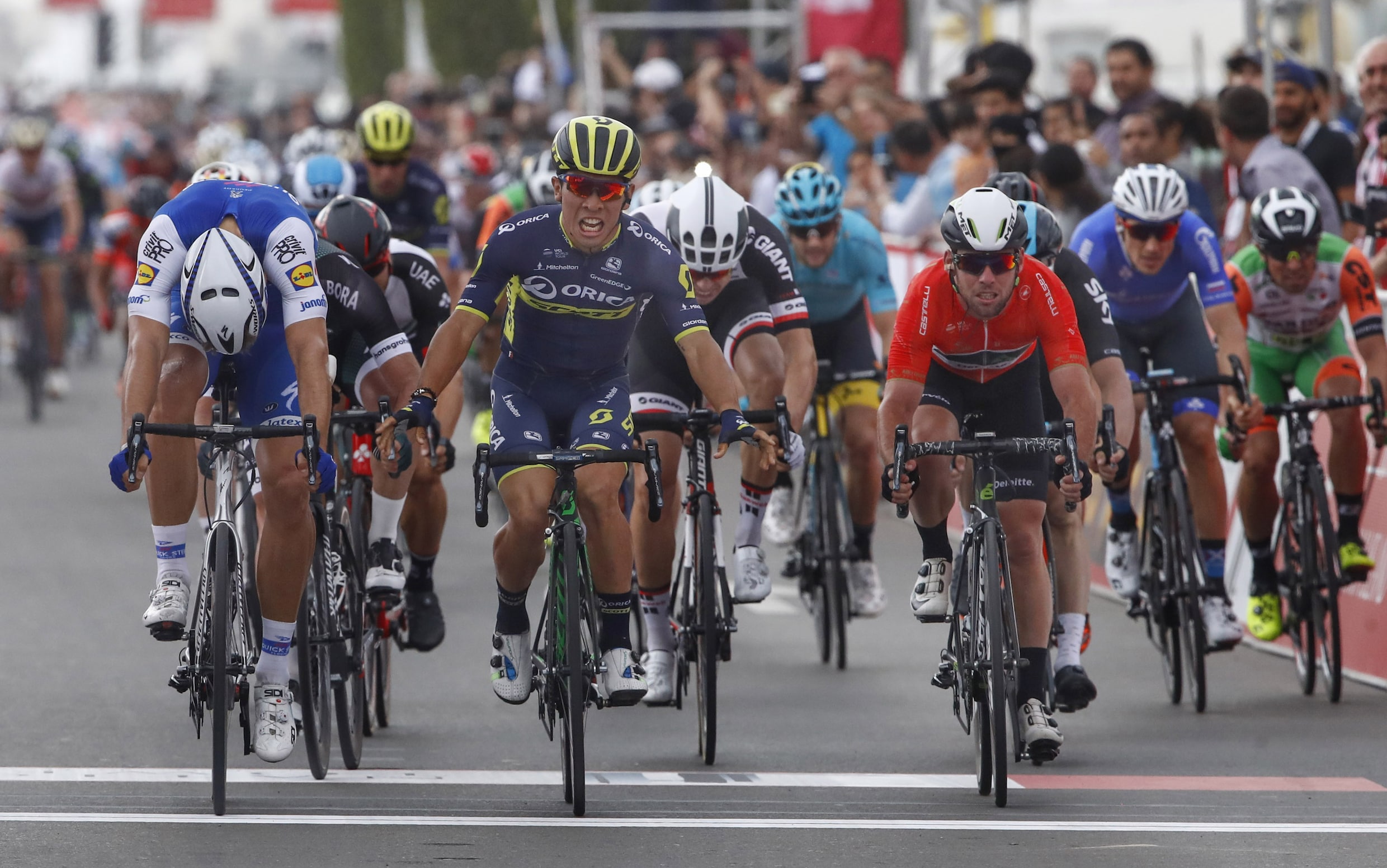 Ewan juicht te vroeg, Kittel wint tweede rit Ronde van Abu Dhabi