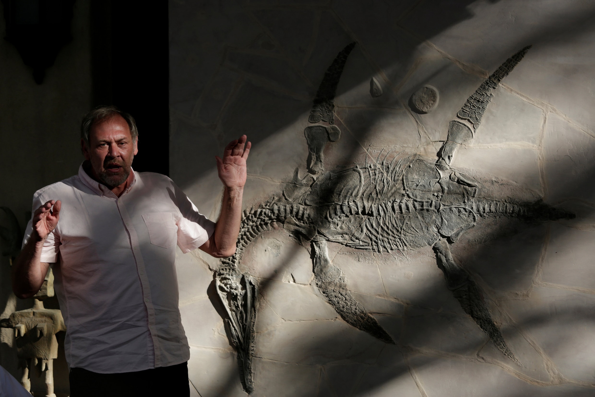 Uitzonderlijk gedetailleerd fossiel van zeedino toont vetlaag en zacht weefsel